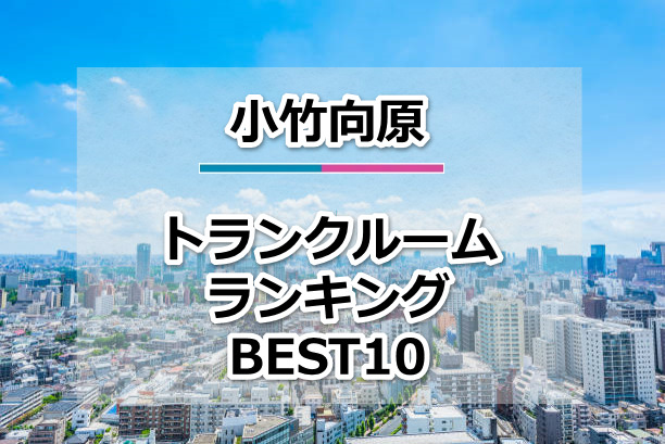 小竹向原
